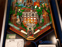 Image # 75675: Big House Illuminated Lower Playfield