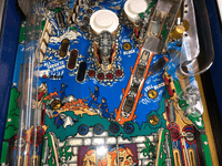 Image # 77462: Big House Early Production Middle Playfield 
(Serial number 48021.)