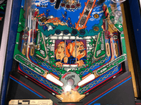 Image # 77463: Big House Early Production Lower Playfield 
(Serial number 48021.)
