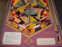 Image # 41106: Torch Illuminated Lower Playfield