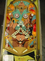 Image # 10948: Trail Drive Playfield