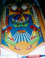 Image # 2563: 2001 Playfield