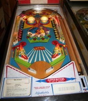 Image # 39357: 2001 Illuminated Playfield 
(Serial number 05430.)