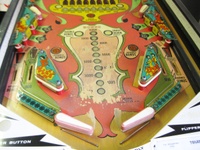 Image # 70656: Valencia Lower Playfield 
(Serial number 232856.)