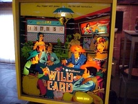 Image # 8370: Wild Card Illuminated Backglass