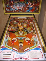 Image # 26856: Wild Fyre Playfield 
(The spinning target shown in this image is not original to this game.)