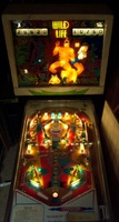 Image # 33457: Wild Life Illuminated Front View 
(The spinning target on this game should have a 'lion' design.)