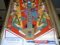 Image # 15484: Wild Life Lower Playfield 
(The spinning target on this game should have a 'lion' design.)
