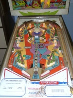 Image # 15485: Wild Life Playfield 
(The spinning target on this game should have a 'lion' design.)
