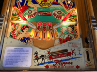 Image # 76312: World Beauties Illuminated Lower Playfield 
(Serial number B12674 S.)
