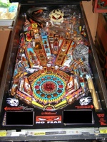Image # 55268: No Fear: Dangerous Sports Playfield with Yellow Skull 
(The artist's signatures on the skull and apron are after-factory. Serial number is 52225100824.)