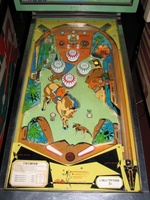 Image # 46720: Big Valley Playfield 
(Serial number 3495.)