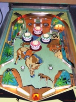 Image # 47414: Big Valley Playfield 
(Serial number 3176.)