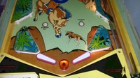 Image # 65862: Big Valley German Lower Playfield 
(Serial number 1795.)