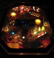 Image # 39082: Caribbean Cruise Illuminated Playfield