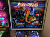 Image # 77960: Cobra Illuminated Backglass - Pinball Adventure Version 
(The cabinet art has a blue background instead of red.)