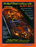 Image # 4139: Black Belt Flyer, Back