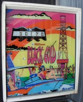 Image # 69259: Black Gold Backglass 
(Serial number 228307.)