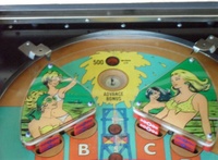 Image # 69261: Black Gold Upper Playfield 
(Serial number 228307.)