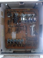 Image # 69266: Black Gold Inside Backbox 
(Serial number 228307.)