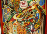 Image # 71594: Evil Fight Middle Playfield 
(The hole from one of two missing star rollover inserts can be seen in this image.)