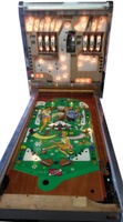 Image # 68677: Hockey Girl Illuminated Backbox Insert and Stripped Playfield 
(Serial number 619 22 18 5.)