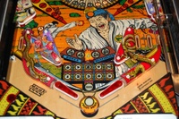 Image # 35862: Blackbelt Lower Playfield 
(This is a regular production game.)