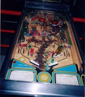 Image # 6718: Mac Jungle Playfield