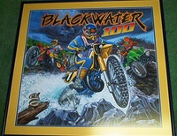 Image # 62299: Blackwater 100 Original Backglass Artwork 
(Artist is Tony Ramunni.Paint on artist's board.Approximate dimensions 25 by 26 inches.Metal frame is 30 by 31 inches.)