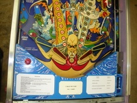 Image # 56464: Time Machine Lower Playfield 
(Serial number F/124.136.)