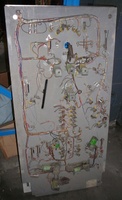 Image # 41871: White Shark Under Playfield