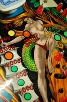 Image # 60153: Zira Playfield - Detail 
(Serial number 458.)