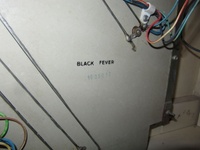 Image # 60597: Black Fever Stamped Number - Backbox Insert 
(Number 1000017.)