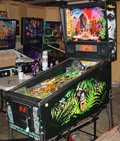 Image # 53991: Congo Cabinet - Right 
(The playfield appears to have LED lamps which would not be factory-original for this game.)