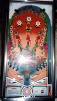 Image # 6139: Dragon Playfield