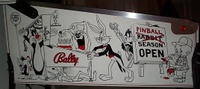 Image # 70951: Bugs Bunny's Birthday Ball Prototype Game - Cabinet - Left 
(Serial number X600006.)