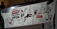 Image # 70952: Bugs Bunny's Birthday Ball Prototype Game - Cabinet - Right 
(Serial number X600006.)