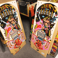 Image # 75747: Miss World NOS Playfields - Translucent and Transparent Inserts 
(These playfields were identified to us as New Old Stock.)