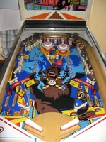 Image # 46091: The Best Jump Playfield 
(The outlanes on this game were blocked by the owner to extend playing time.)