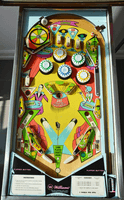 Image # 75874: Cabaret Sample Game - Playfield 
(The orange flipper rings are not original to this game. Cabinet serial number 9473.)