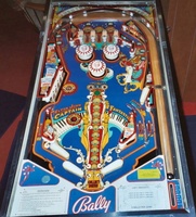 Image # 26508: Capt. Fantastic and The Brown Dirt Cowboy Playfield