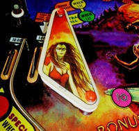 Image # 64892: Wolf Man Playfield - Detail 
(Serial number 0885.)