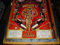 Image # 25059: Mata Hari Sample - Lower Playfield 
(Plastic playfield. Serial number 'EM1230'.)