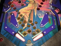 Image # 32509: New Star's Phoenix Lower Playfield
