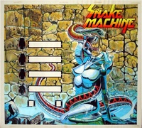 Image # 40764: Snake Machine Unbranded Backglass
