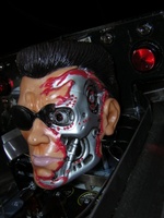Image # 34541: Terminator 3: Rise of the Machines Terminator Head
