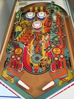 Image # 65843: Centigrade 37 Playfield 
(Serial number 4542.)