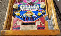 Image # 75308: Champion Lower Playfield 
(Serial number 45827.)