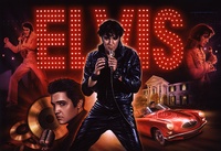 Image # 29866: Elvis� Original Painting for Backglass 
(Acrylic paint on canvas board, 30 inches by 40 inches.  By Jerry Vanderstelt.)