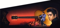 Image # 46257: Elvis� Original Cabinet Art 
(Artist is Jerry Vanderstelt.Acrylic paint on canvas board.Dimensions unavailable.)